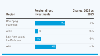 Foreign direct investment in developing economies fell 2% in 2024